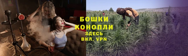 прущая мука Ельня