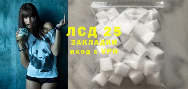 шишки Болохово
