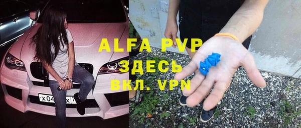 ешки Новодвинск