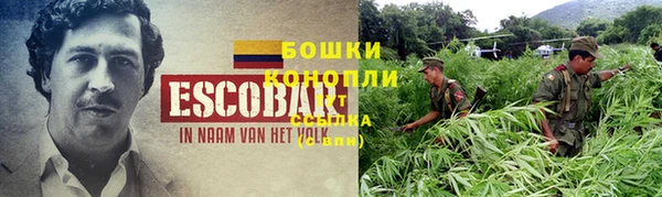 ешки Новодвинск