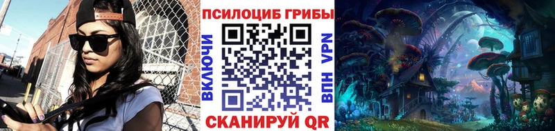 как найти закладки Кораблино Галлюциногенные грибы Psilocybe